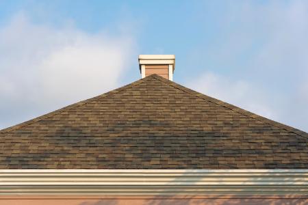 Roof Cleaning Services: Protect and Restore Your Home